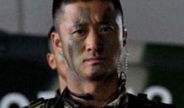 何晨光是什么电视剧,军旅青春的荣耀岁月