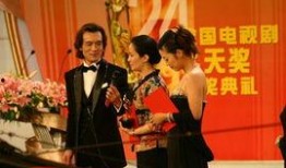 飞天奖电视剧,璀璨星光下的经典之作