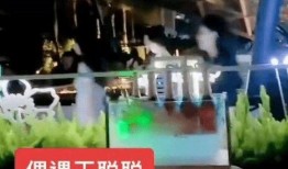 酒吧吃瓜事件爆料视频大全,揭秘视频大全背后的惊人真相