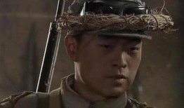 雪豹类似的电视剧,丛林王者归来